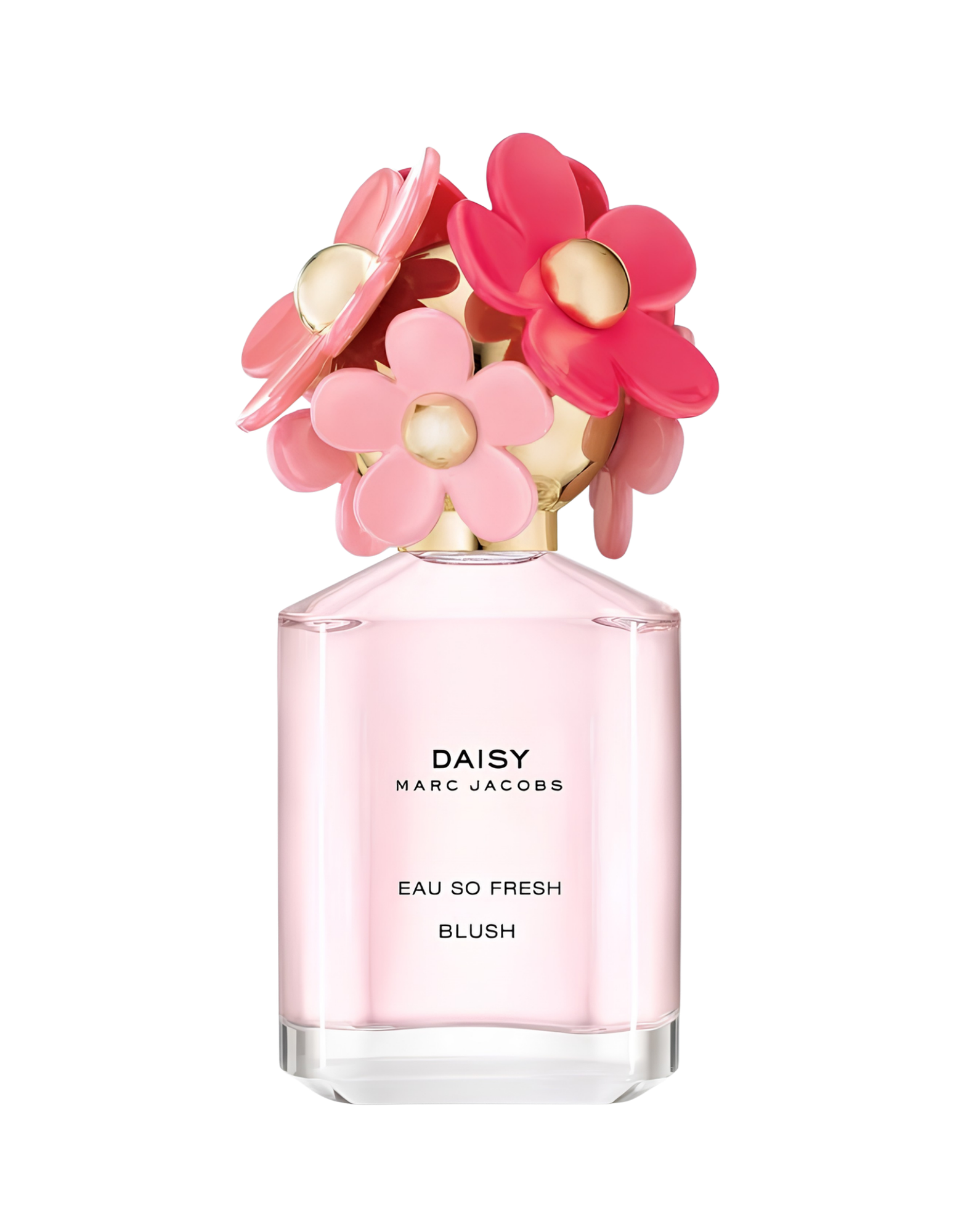 Mj Daisy Blush 100ml